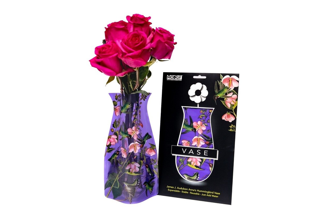 Modgy Expandable Vase - Audubon Anna's Hummingbird