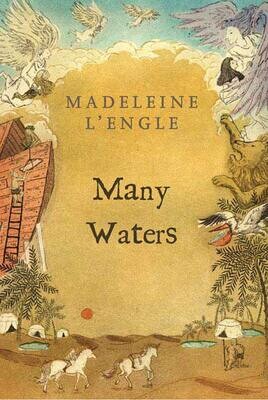 Many Waters - L'engle - Young Adult