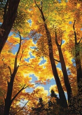 Artists To Watch Card CL488