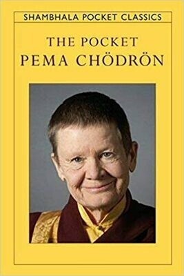 The Pocket  Pema Chodron