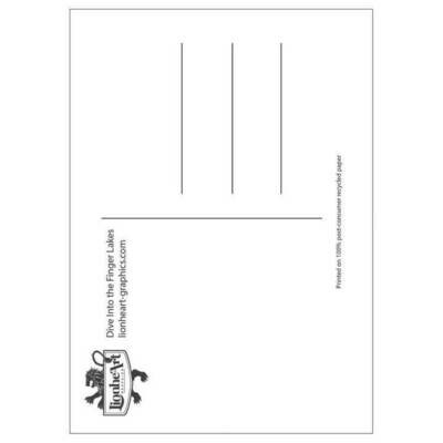 Finger Lakes Lionheart Travel Postcard