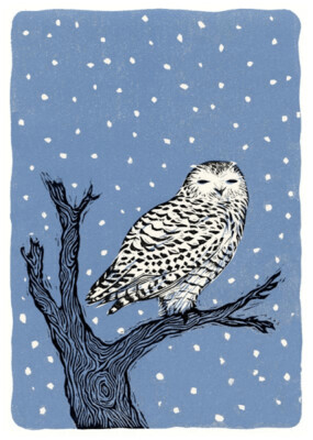 ATW Wisdom Holiday Boxed Cards