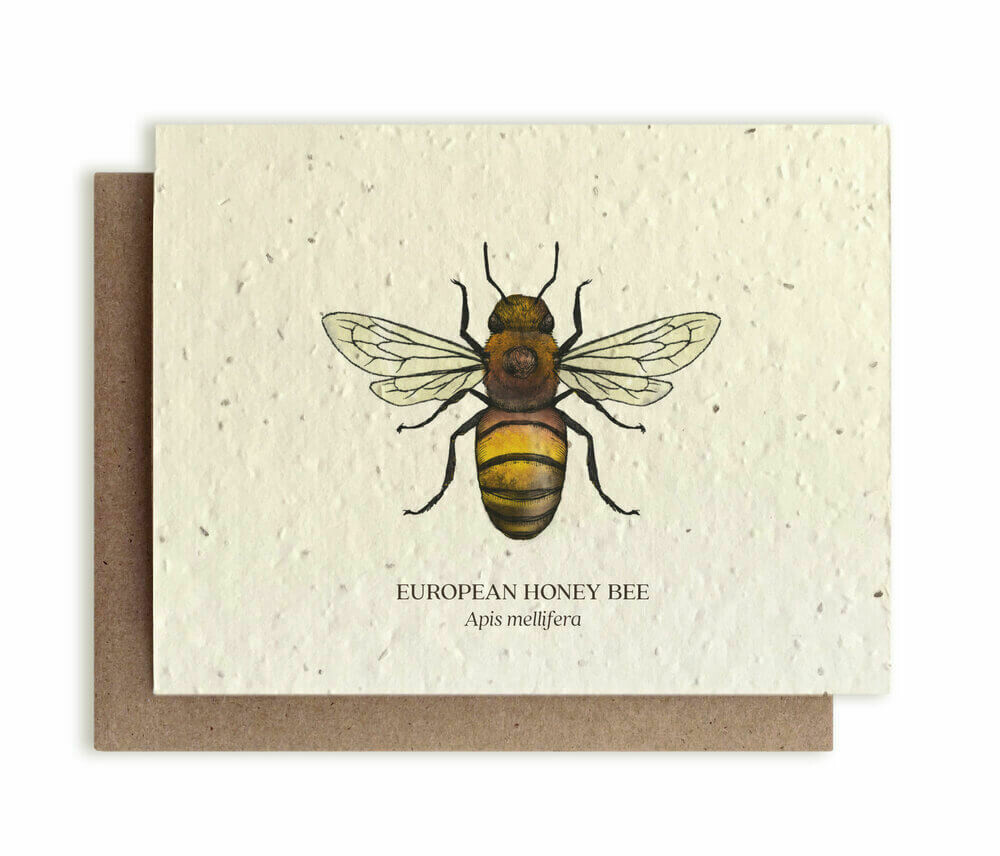 European Honey Bee Plantable Flower Seed Card 