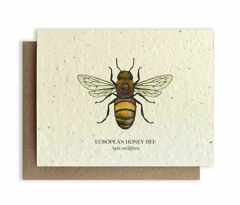 European Honey Bee Plantable Flower Seed Card 
