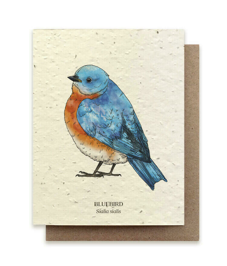 Bluebird Plantable Seed Paper Card 