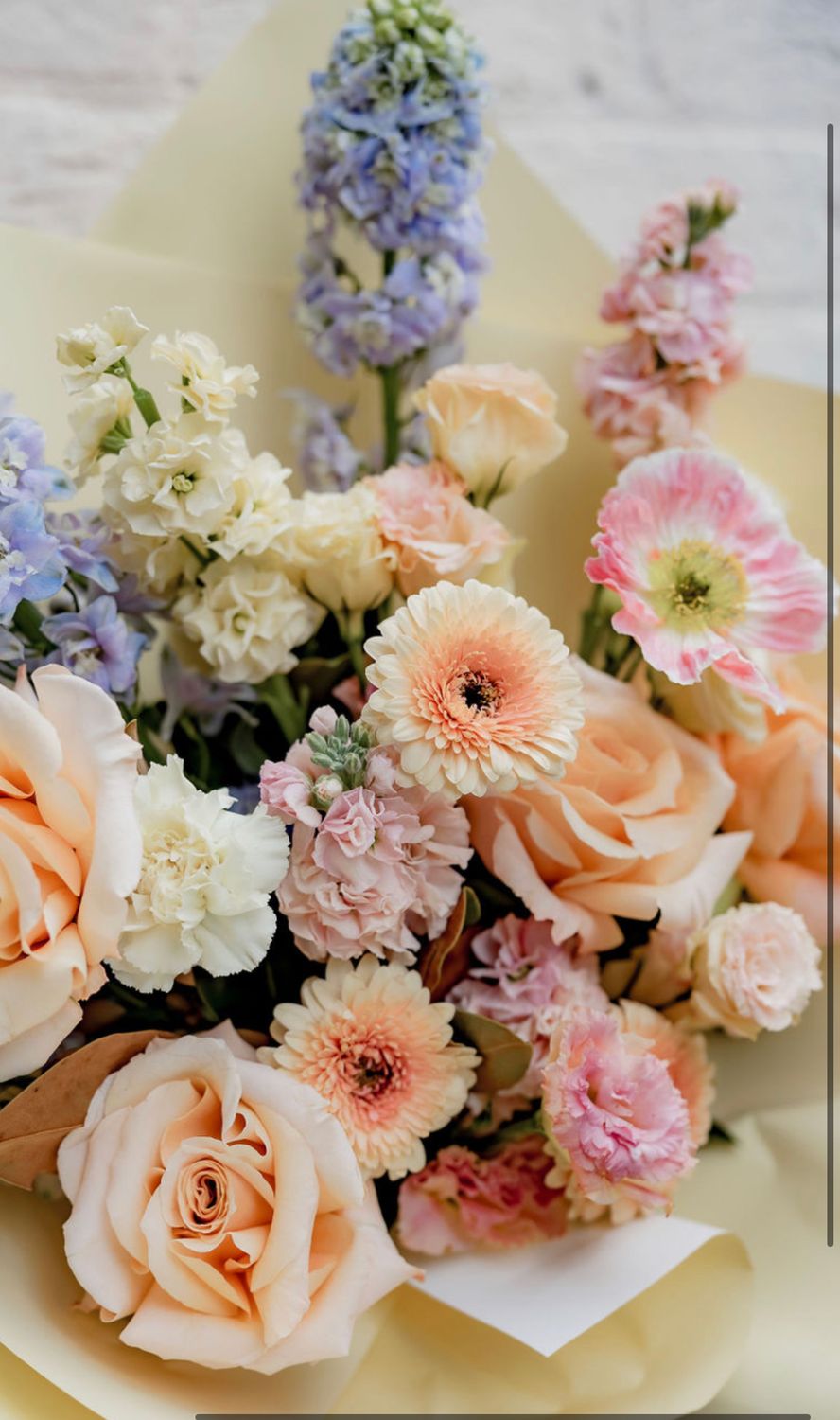 Florist Choice- Pastel Sherbet Dreams