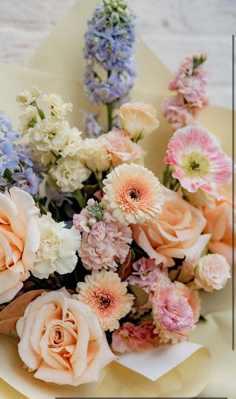 Florist Choice- Pastel Sherbet Dreams