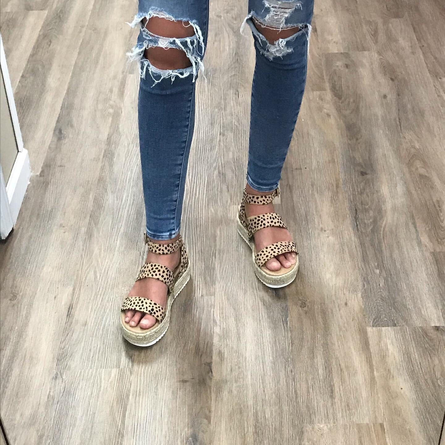 CHEETAH BRYCE NAT