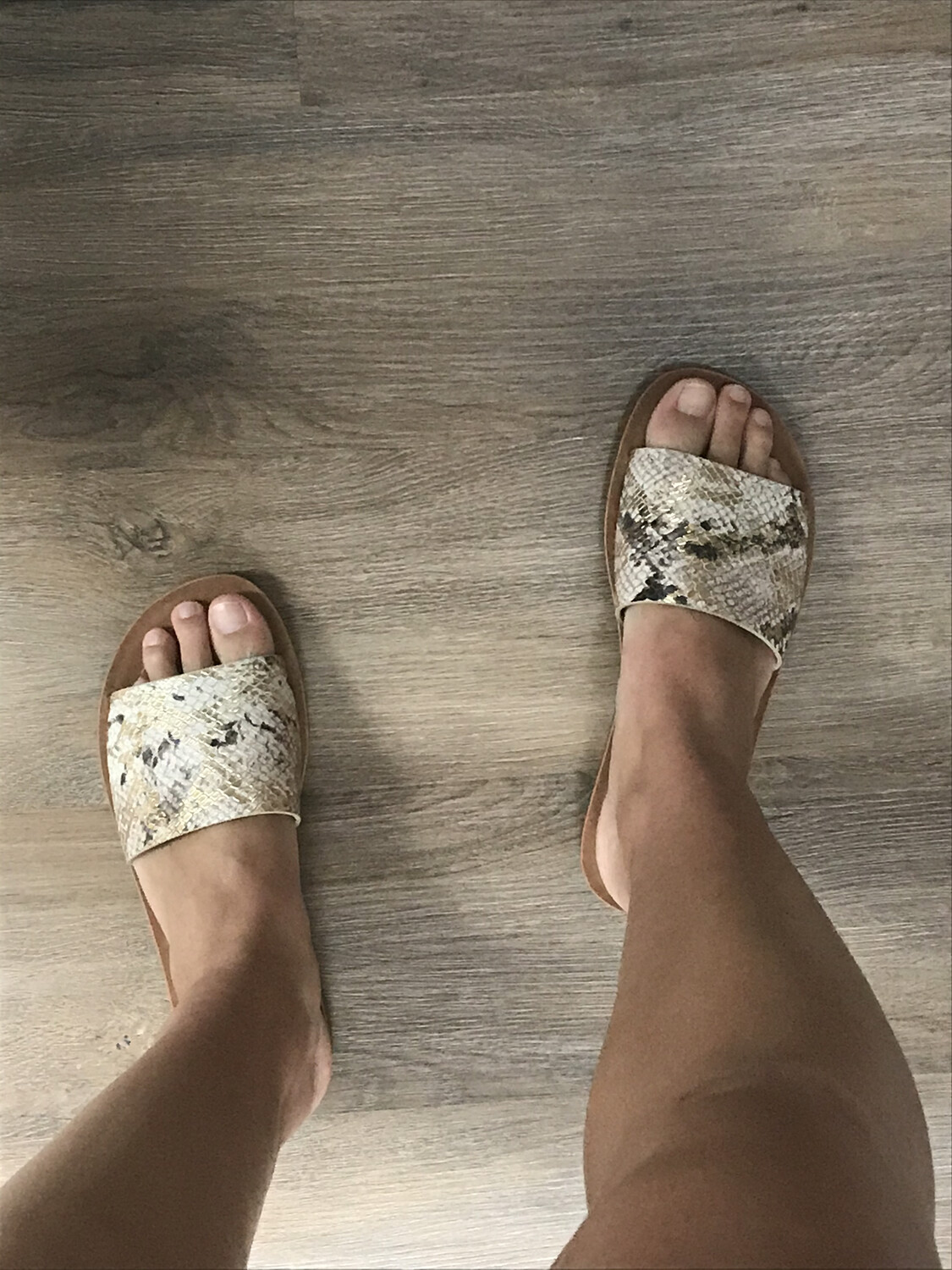 PYTHON SLIDE ME