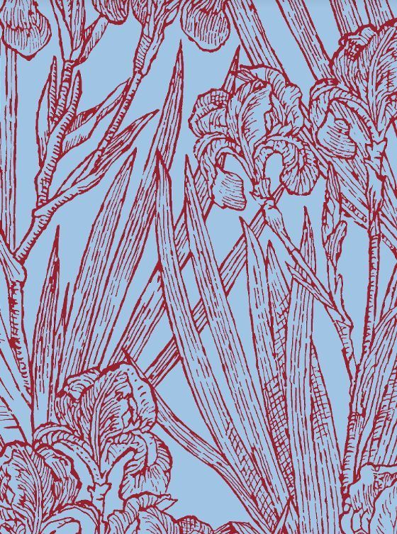 Tana Lawn Cotton Tana Lawn Cotton "Infinite Iris"