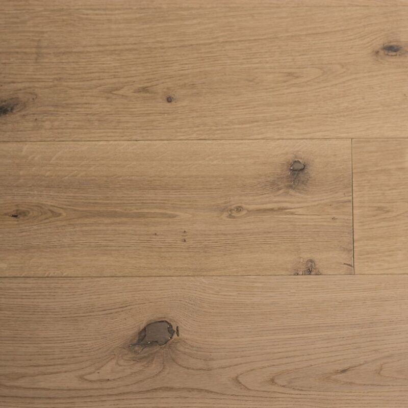 ROBLE INVISIBLE
