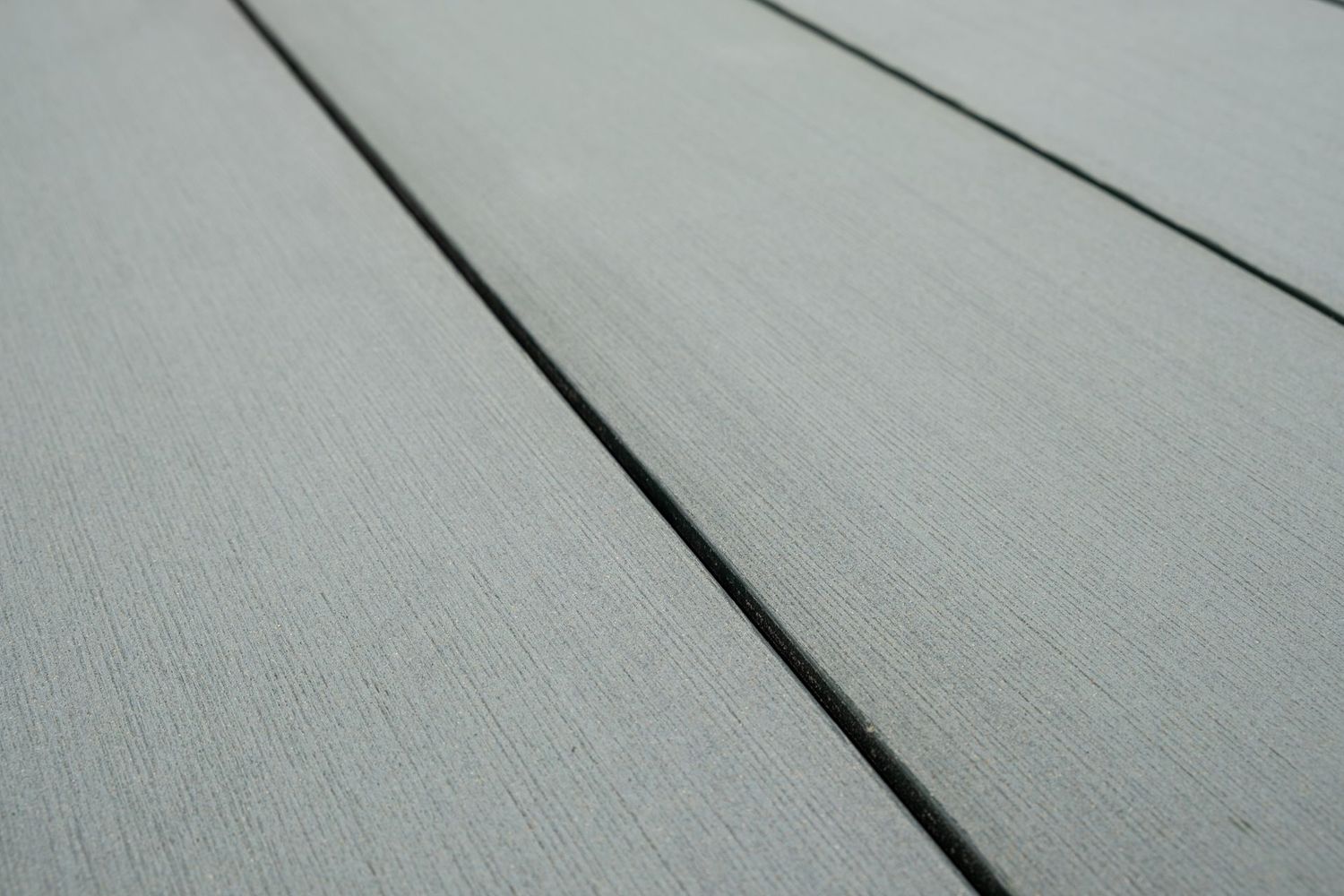 Moss 2487