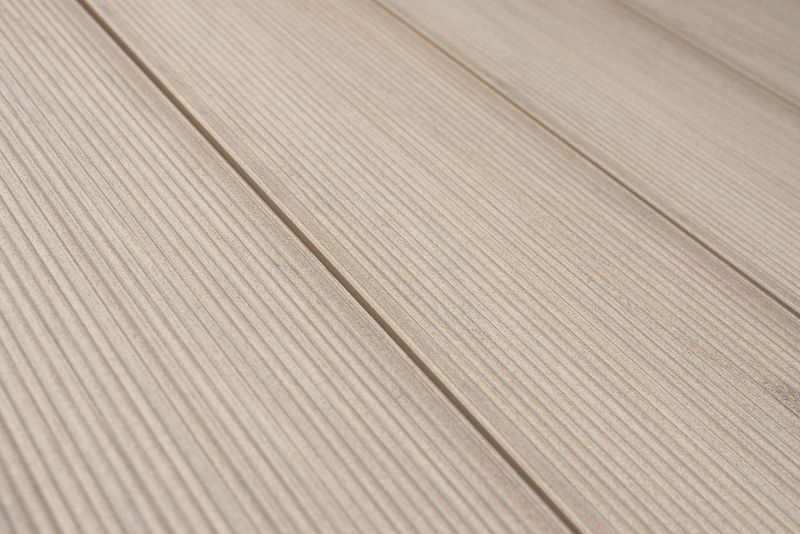 Lino 2398