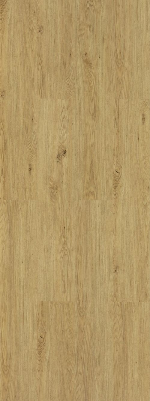 ROBLE NATURAL ROBLE NATURAL