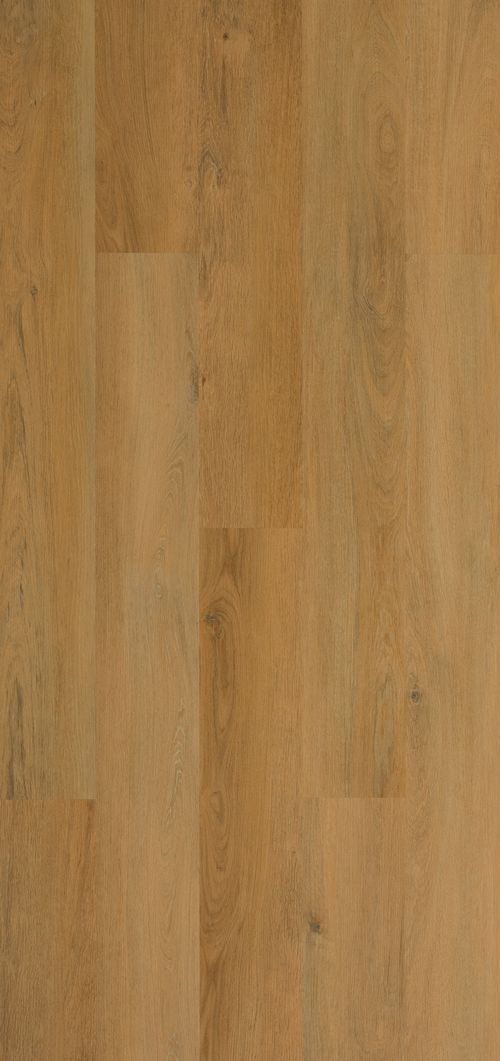 ROBLE BOSQUE BERMEJO ROBLE BOSQUE BERMEJO