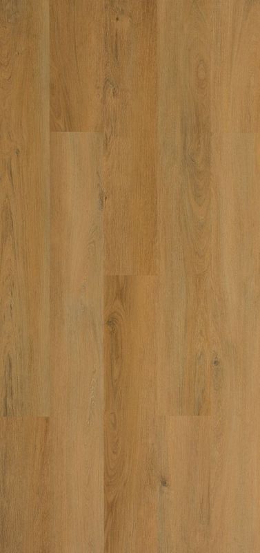 ROBLE BOSQUE BERMEJO