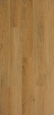 ROBLE BOSQUE BERMEJO ROBLE BOSQUE BERMEJO