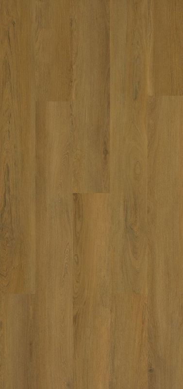 ROBLE SIENA CASTAÑO