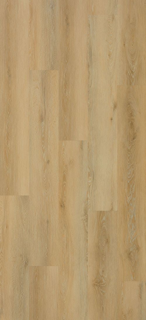 ROBLE BRIGHT ROBLE BRIGHT