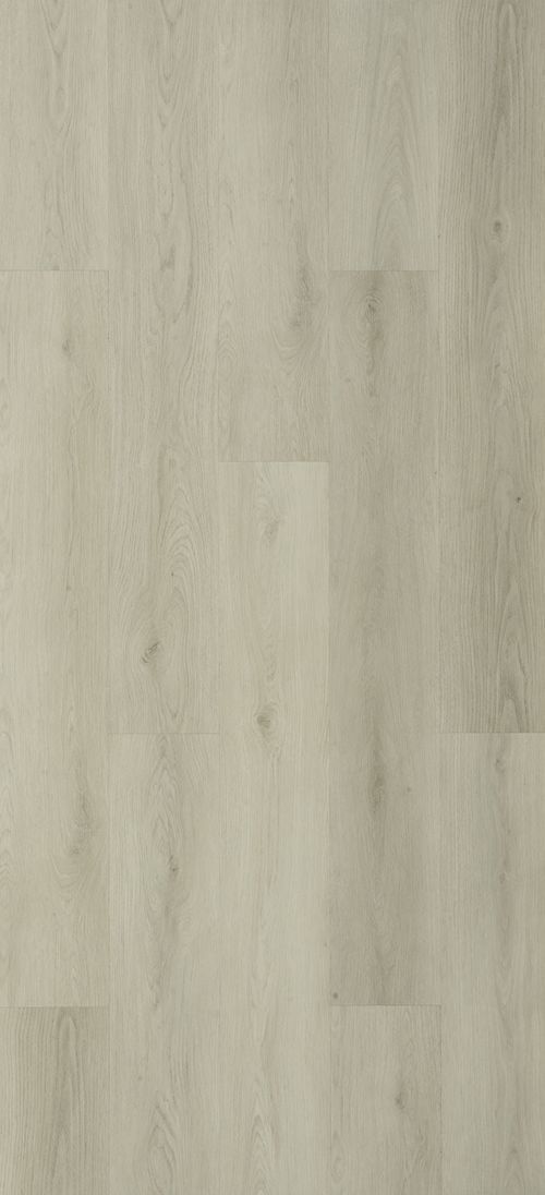 ROBLE SNOW ROBLE SNOW