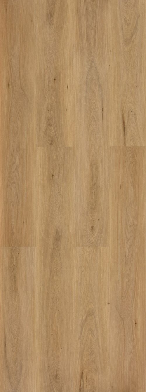 ROBLE NUDE ROBLE NUDE