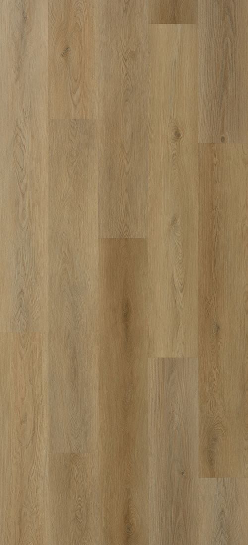 ROBLE SAND ROBLE SAND