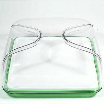 "BOLLI" QUEIJEIRA - VERDE