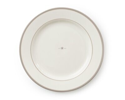 Earthenware Dinner Plate Teller
