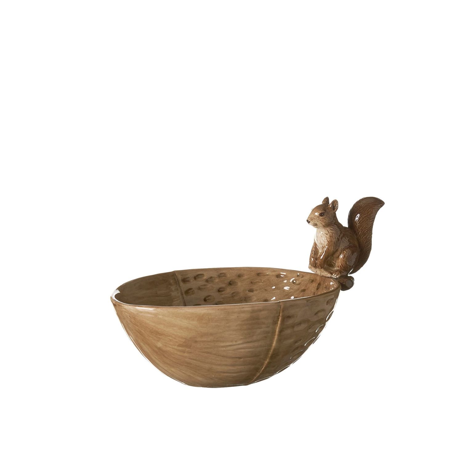 Schale Eichhörnchen
