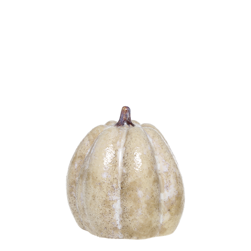 Kürbis " Rustic antique " L