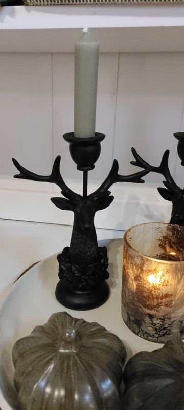 Hirsch - Kopf Hirsch - Kopf