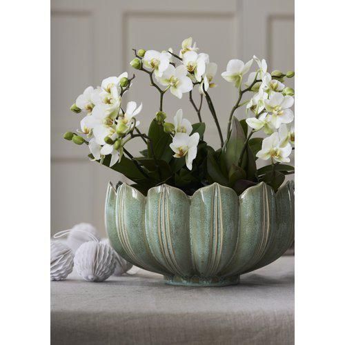 Leslie Planter grün