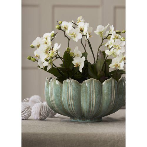 Leslie Planter L grün