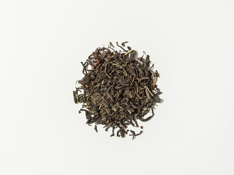 Kocha mit Kirschbaumblättern