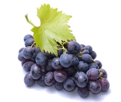 Rotwein