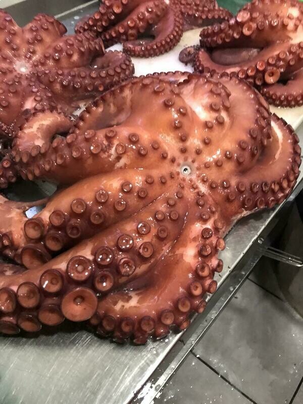 Gekookte hele octopus.
