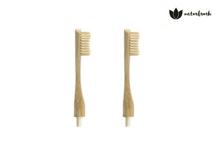 Biologisch afbreekbaar Bamboe Naturbrush Borstel voor tandenborstel (2 stuks per doos) Master doos 10 dozen