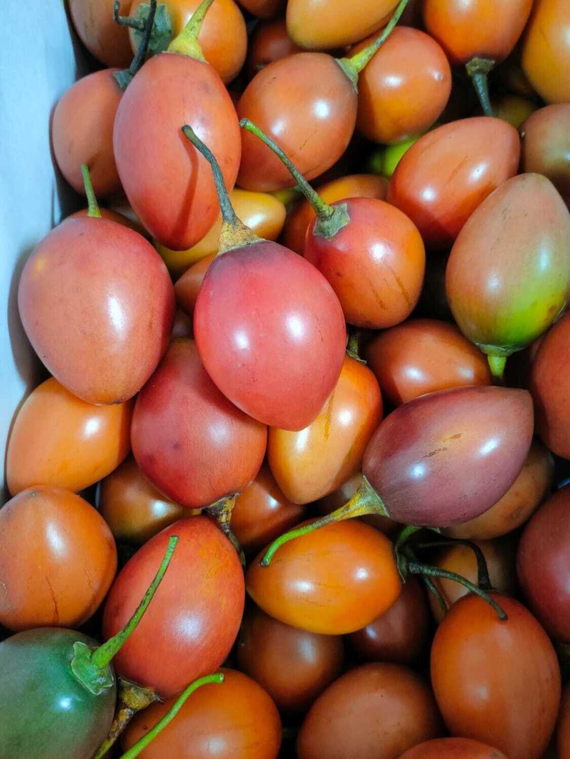 Tomate de Arbol Doos x 15 Kg