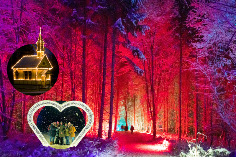 Winterleuchten Stern-Paket 1 Winterleuchten Stern-Paket 1