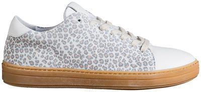 GOLD.01/06 GRY LEO PETITE # last sizes