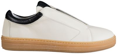 GOLD.08/03 CALF MILK BLCK