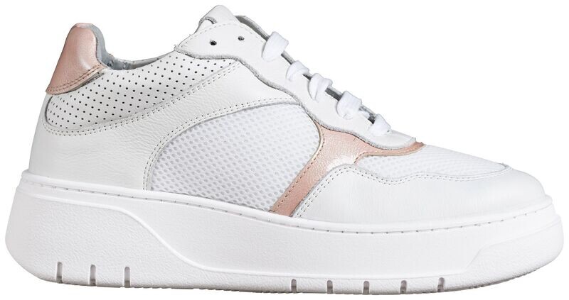 ANGEL.01/02 ROSE # nur Gr. 36/37