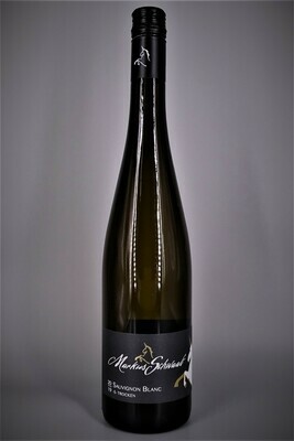 2024 Sauvignon Blanc -S- trocken