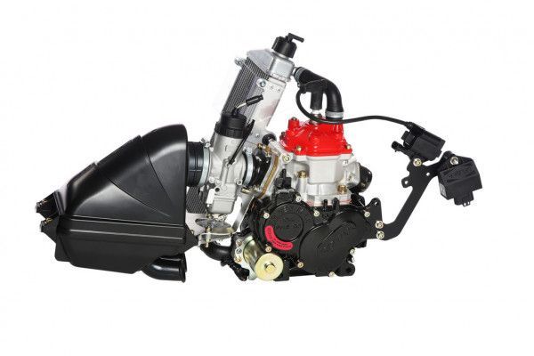 Rotax Max Junior Motor 2024