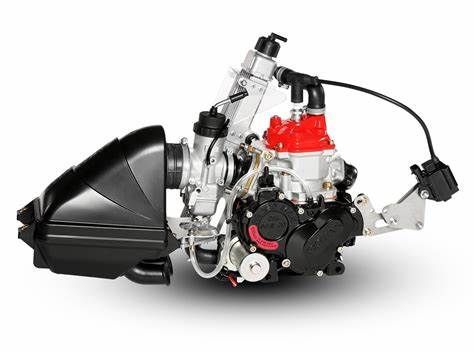 Rotax Max Micro Model 2024