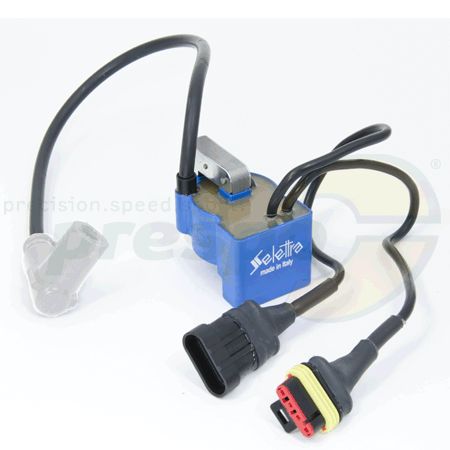 Nr. 273 Zündspule Selettra Digital ''S'' Type: C - IAME X30