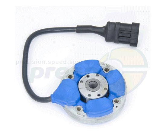 Nr. 276A Zündung Selettra Digital ''S'' Modell 2016 - IAME X30