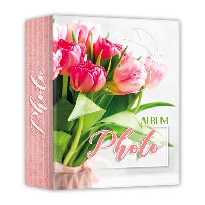 ALBUM CARTA 13X19/100