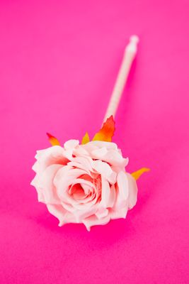PENNA A FORMA DI ROSA