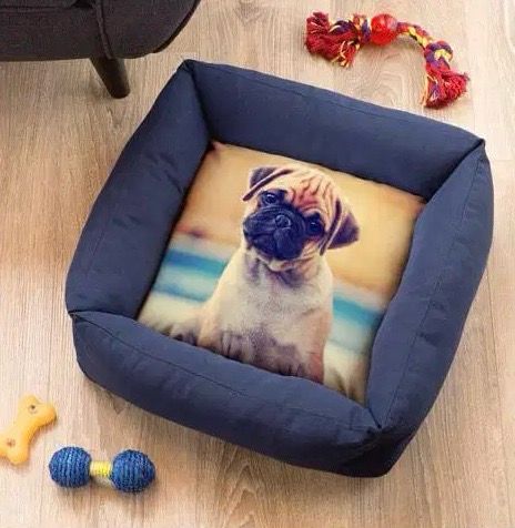 Cuccia Soft Pet 38 x 38 cm